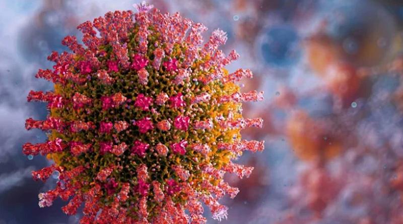 সিলেটে হামের উপসর্গ নিয়ে আরও এক শিশুর মৃত্যু