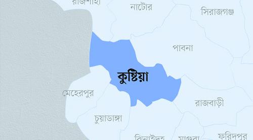 ছেলেকে টিকা দিতে নেয়ার সময় ভ্যান থেকে পড়ে নারীর মৃত্যু