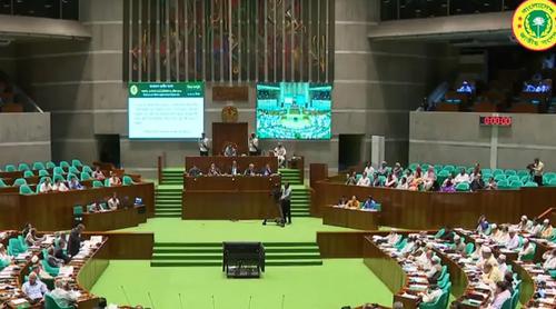 সংবিধান সংশোধনে বিশেষ কমিটি গঠনের প্রস্তাব সরকারি দলের