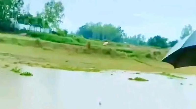 জামালপুরে বজ্রপাতের ঘটনায় ২ জনের মৃত্যু