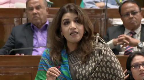 মুক্তিযুদ্ধের চেতনা বিক্রি করি না, ধারণ করি : পররাষ্ট্র প্রতিমন্ত্রী