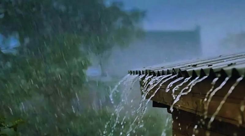 দেশে অতিভারী বর্ষণ : ২৪ ঘণ্টায় রেকর্ড ১৬৫৪ মিলিমিটার বৃষ্টি