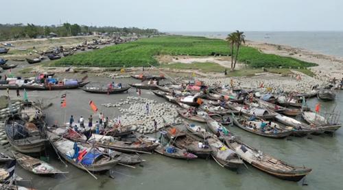 ভোলায় ২ মাসের নিষেধাজ্ঞা শেষে আজ থেকে শুরু হচ্ছে মাছ ধরা