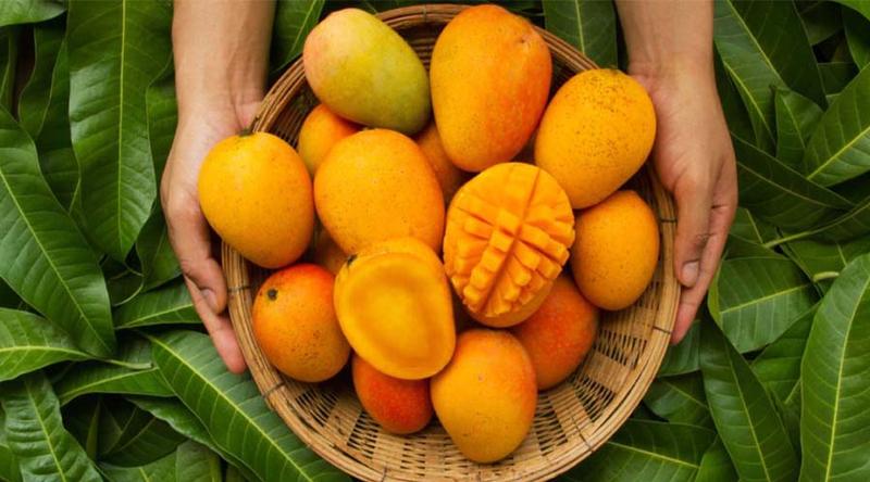 জেনে নিন আম খাওয়ার স্বাস্থ্যকর উপায়