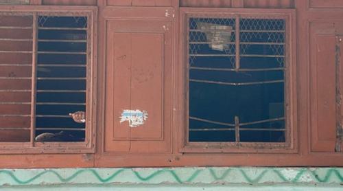 ফরিদপুরে গভীর রাতে জানালা ভেঙে কিশোরীকে অপহরণের পর ধর্ষণ