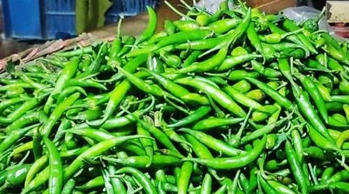 ভারত থেকে আমদানির খবরে কেজিতে ৯০ টাকা কমল কাঁচা মরিচের দাম