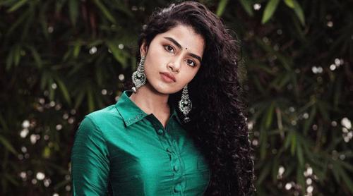 প্রেম ভাঙার গুঞ্জনে মুখ খুললেন অনুপমা