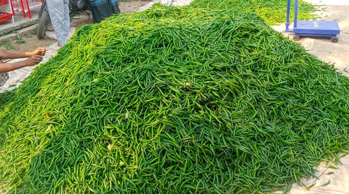 ভারত থেকে দেশে ঢুকলো আরও ৪৬৭ টন কাঁচামরিচ