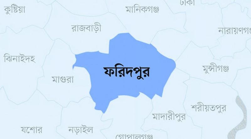 ফরিদপুরে নিয়ন্ত্রণ হারিয়ে বাস খাদে পড়ে আহত ২০