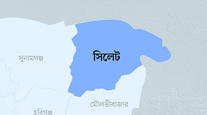 সিলেটে দুই বাসের সংঘর্ষে নিহত ৮