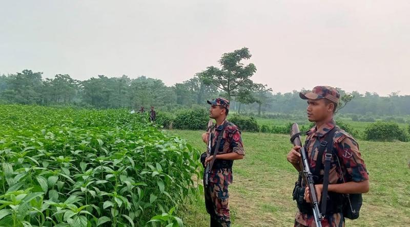মেহেরপুরের ধলা সীমান্তে ৫ জনকে পুশইনের চেষ্টা, রুখে দিলো বিজিবি