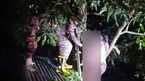 হঠাৎ আমগাছে উঠে জ্ঞান হারালেন গৃহবধূ, উদ্ধার করলো ফায়ার সার্ভিস