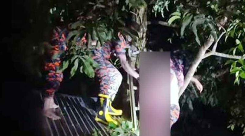 হঠাৎ আমগাছে উঠে জ্ঞান হারালেন গৃহবধূ, উদ্ধার করলো ফায়ার সার্ভিস