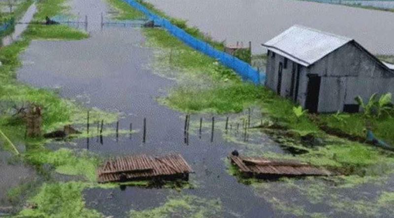 সাতক্ষীরায় প্রতিবন্ধী নারীকে ধর্ষণের অভিযোগ, ঘের মালিক গ্রেপ্তার