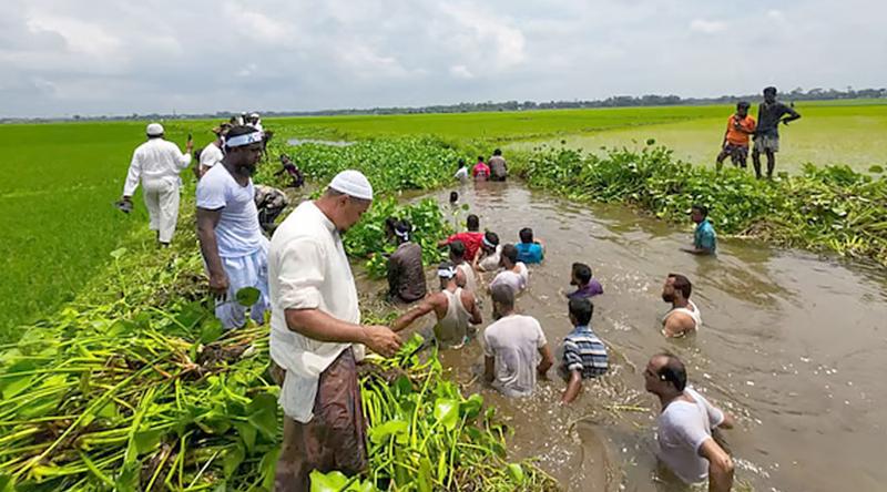 গলাপানিতে নেমে খালের কচুরিপানা পরিষ্কার করলেন এমপি
