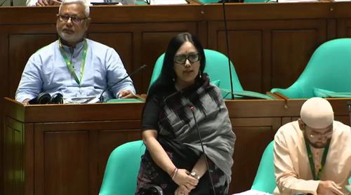 দেশের ৬৪ জেলায় ৬৪ স্বরাষ্ট্রমন্ত্রী থাকলে মন্দ হতো না : রুমিন ফারহানা
