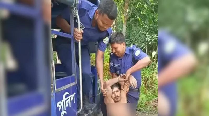 ডাব চুরি করতে গিয়ে ভিমরুলের কামড়, গাছ থেকে পড়ে আহত চোর