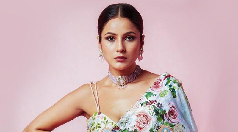 পরকীয়া নিয়ে বিতর্কিত মন্তব্য করে তোপের মুখে শেহনাজ গিল