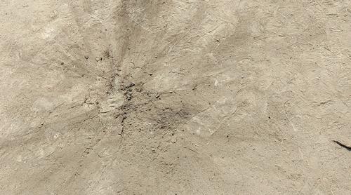 মুন্সীগঞ্জে ভোটকেন্দ্রের বাইরে একাধিক ককটেল বিস্ফোরণ