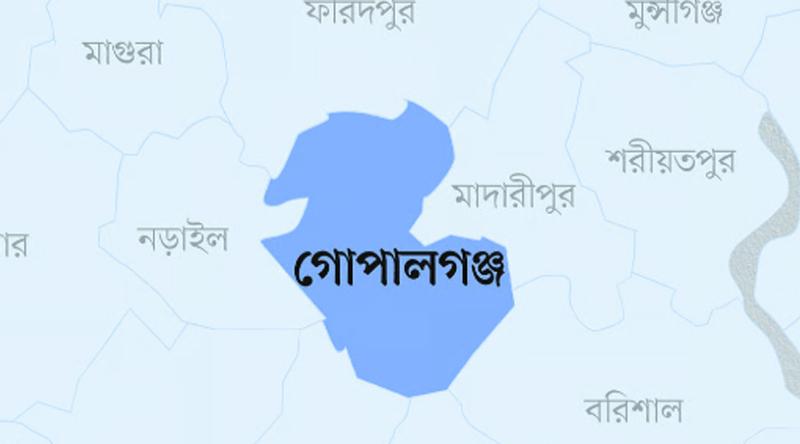 গোপালগঞ্জের তিনটি আসনেই বিএনপি প্রার্থীদের বিজয়