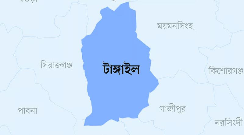 টাঙ্গাইলে ৮টি আসনের ৭টিতে বিএনপি, ১টিতে স্বতন্ত্র জয়ী