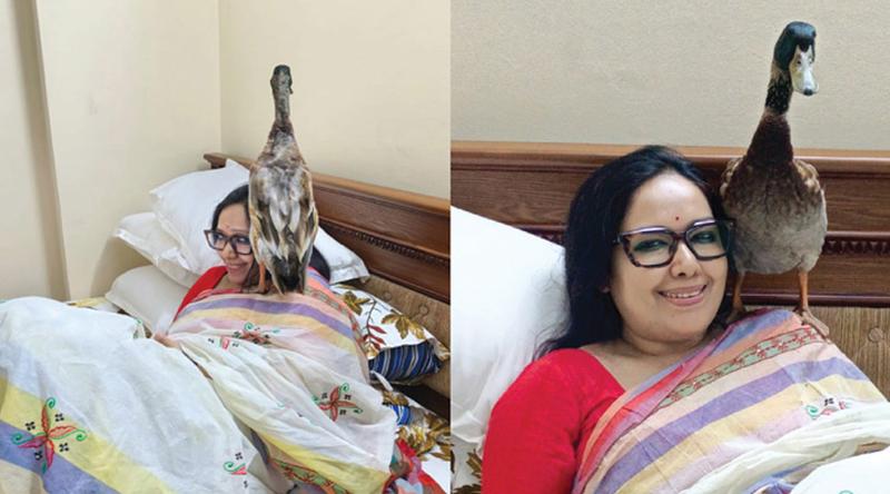 আমাকে পরাজিত করতে সর্বশক্তি দিয়ে নেমেছিল বিএনপি : রুমিন ফারহানা