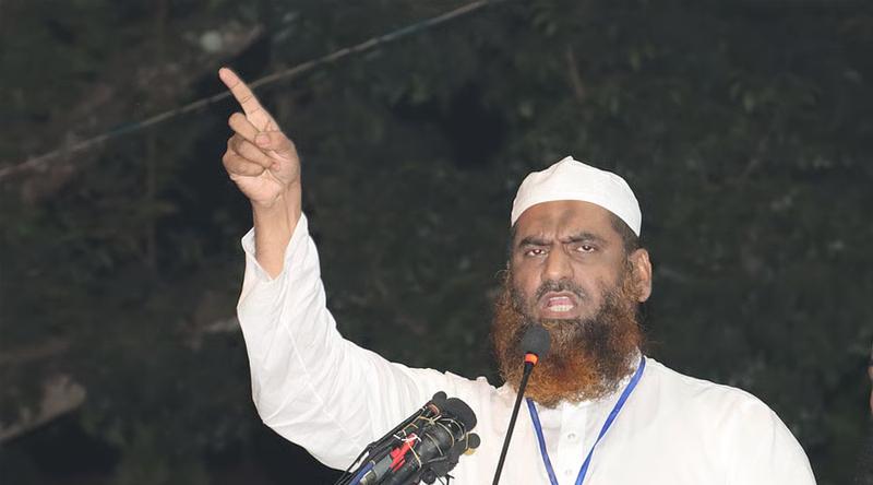 ইসির ব্যর্থতার দায় তাদেরই নিতে হবে : মামুনুল হক