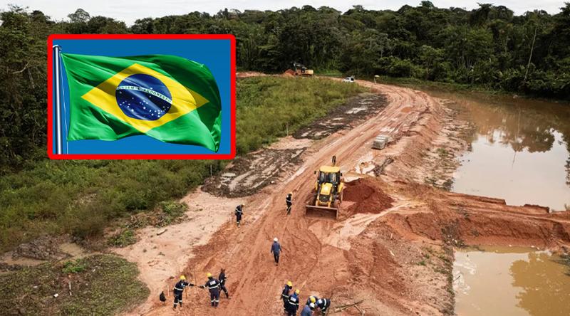 ব্রাজিলের আমাজনে ৬ মাসে বন উজাড় কমেছে ৩৫ শতাংশ!