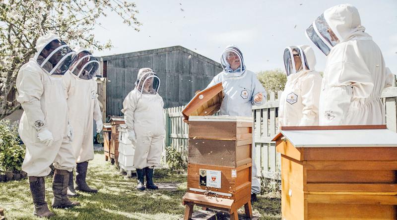 কর্মক্ষেত্রে সুস্থ থাকার জন্য যুক্তরাজ্যে নতুন উদ্যোগ