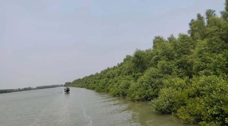 আজ সুন্দরবন দিবস