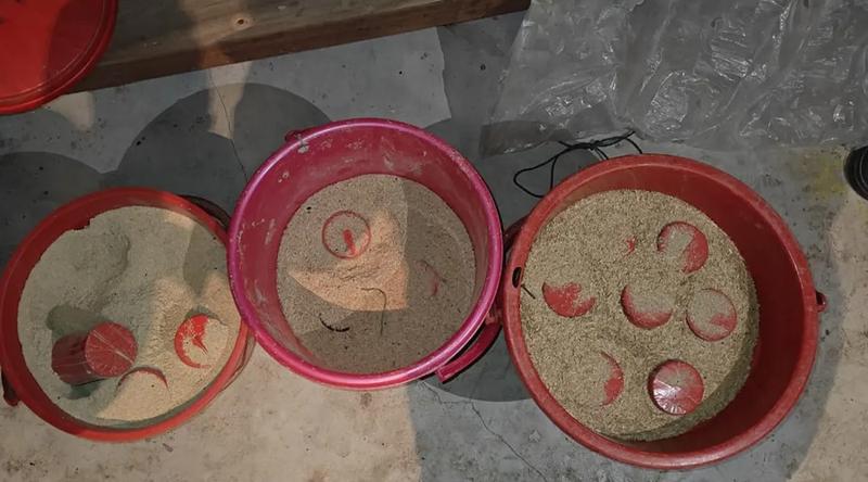 মুন্সীগঞ্জে মুদি দোকান থেকে ৩ বালতি ককটেল উদ্ধার