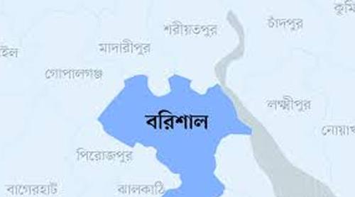 বরিশাল জেলায় গণভোটে অর্ধেক ‘না’ ভোট, ৯ শতাংশ বাতিল