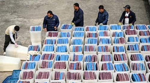 গণ-অভ্যুত্থানের পর নেপালে প্রথম ভোট, আনুষ্ঠানিক প্রচার শুরু