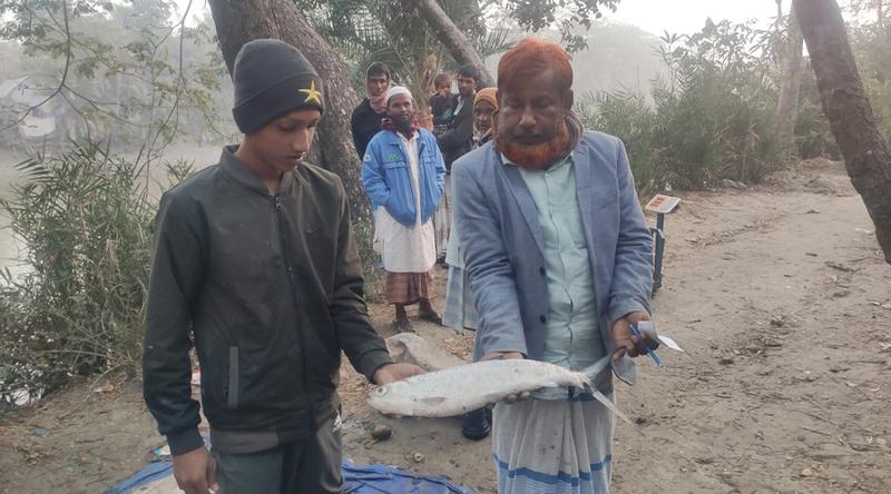 হাতিয়ার নিঝুম দ্বীপে মিলল বিরল প্রজাতির মিল্ক ফিশ