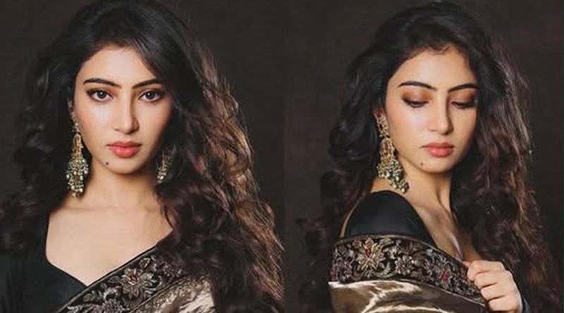 বাণিজ্যিক নয়, অর্থবহ চরিত্রে ভরসা সারা অর্জুনের