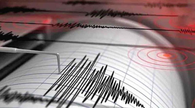 পাকিস্তানে শক্তিশালী ভূমিকম্পের আঘাত