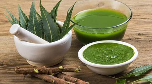 লিভার সুস্থ রাখতে কচি নিম পাতার জাদুকরী গুণ