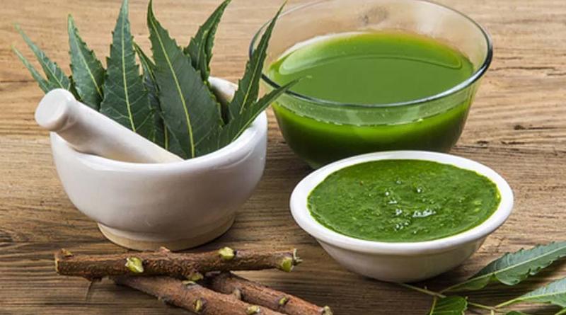 লিভার সুস্থ রাখতে কচি নিম পাতার জাদুকরী গুণ