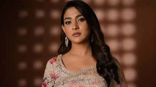 আমাকে টার্গেট করা হচ্ছে : মেহজাবীন