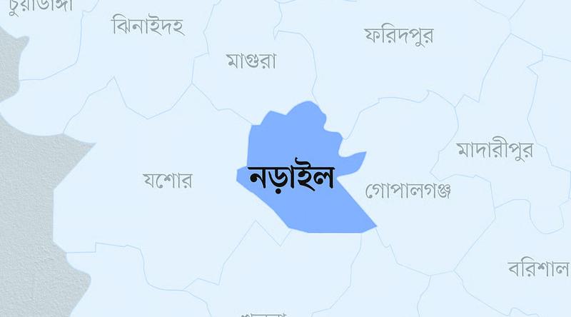 নড়াইলে প্রতিপক্ষের হামলায় প্রাণ গেল ৩ জনের