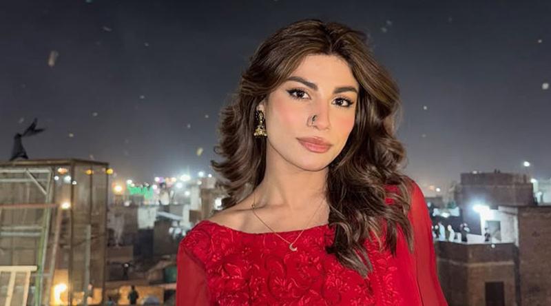 আঘাতের চিহ্ন দেখিয়ে বিচার চাইলেন পাকিস্তানি মডেল