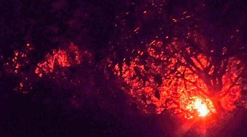 টেকনাফে সমুদ্র তীরবর্তী পাহাড়ে আগুন ৪ ঘণ্টা পর নিয়ন্ত্রণে