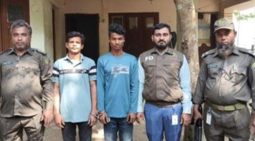 কক্সবাজারে সংরক্ষিত বনের গাছ কাটার সময় গ্রেপ্তার ২