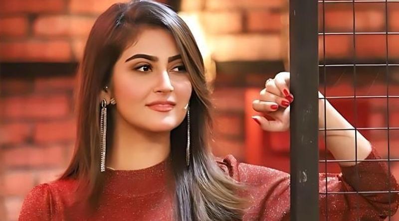 ভাইরাল ক্লিপ নিয়ে মুখ খুললেন জনপ্রিয় অভিনেত্রী হিবা বুখারী!