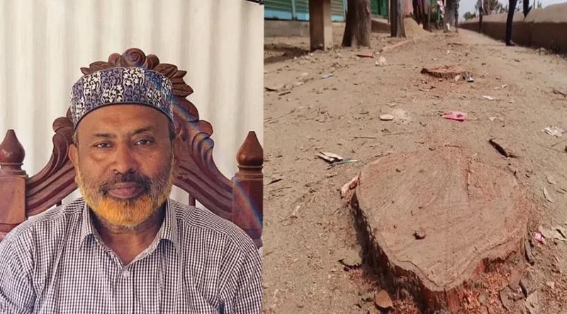 ‘ব্যক্তিগত গাড়ির পথ করতে’ বেড়িবাঁধের গাছ কাটার ঘটনায় বিএনপি নেতা গ্রেপ্তার