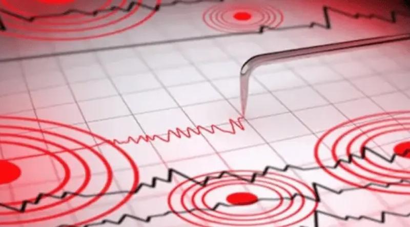 ৫.৬ মাত্রার ভূমিকম্পে কাঁপল পাকিস্তান