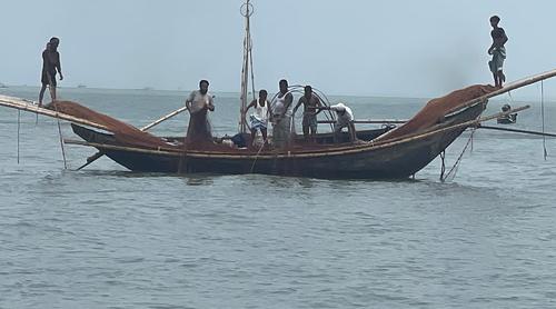 ইলিশের উৎপাদন বাড়াতে মার্চ-এপ্রিল মেঘনা নদীতে সব ধরনের মাছ ধরা নিষিদ্ধ