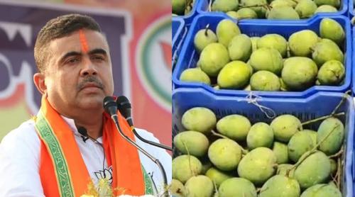 শুভেন্দু অধিকারীর কাছে ৫০০ কেজি আম উপহার পাঠালো বাংলাদেশ