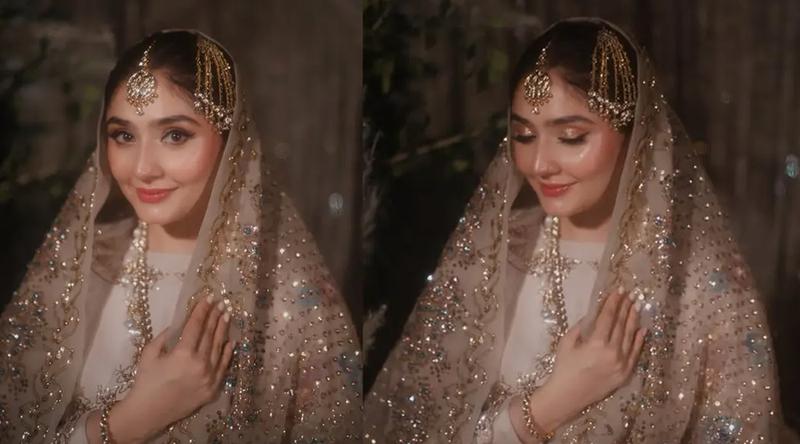 পাকিস্তানি অভিনেত্রী দুরেফিশানেরকে ঘিরে তোলপাড়, এবার মুখ খুললেন মেকআপ আর্টিস্ট