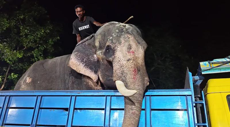 প্রধানমন্ত্রীর নির্দেশে ঢাকার পথে ‘বাদশা বাহাদুর’